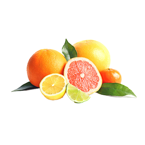 CITRUS/FRUITY